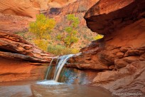 canyon, waterfall, desert, cottonwood, autumn